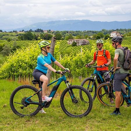 Agriturismo Vidalli Colvidor Ngoại thất bức ảnh
