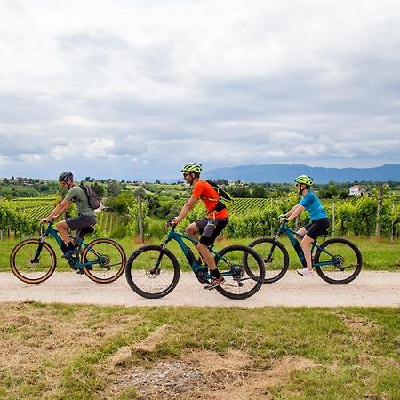 Agriturismo Vidalli Colvidor Ngoại thất bức ảnh