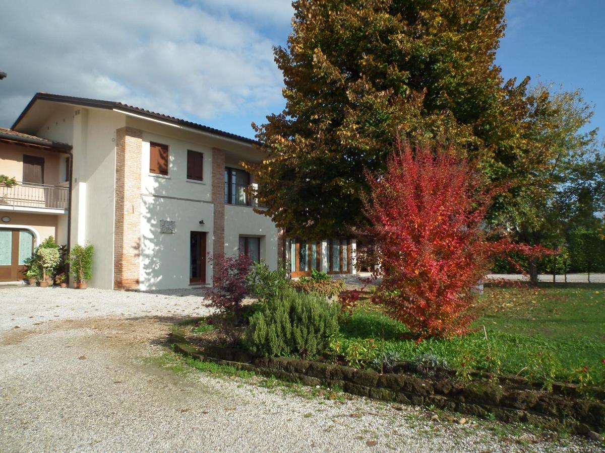 Agriturismo Vidalli Colvidor Ngoại thất bức ảnh