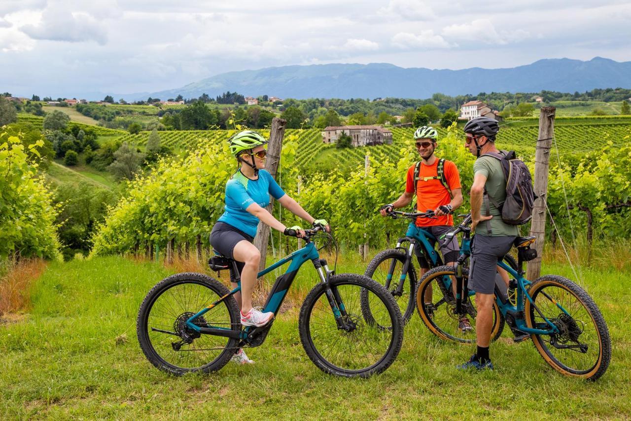 Agriturismo Vidalli Colvidor Ngoại thất bức ảnh