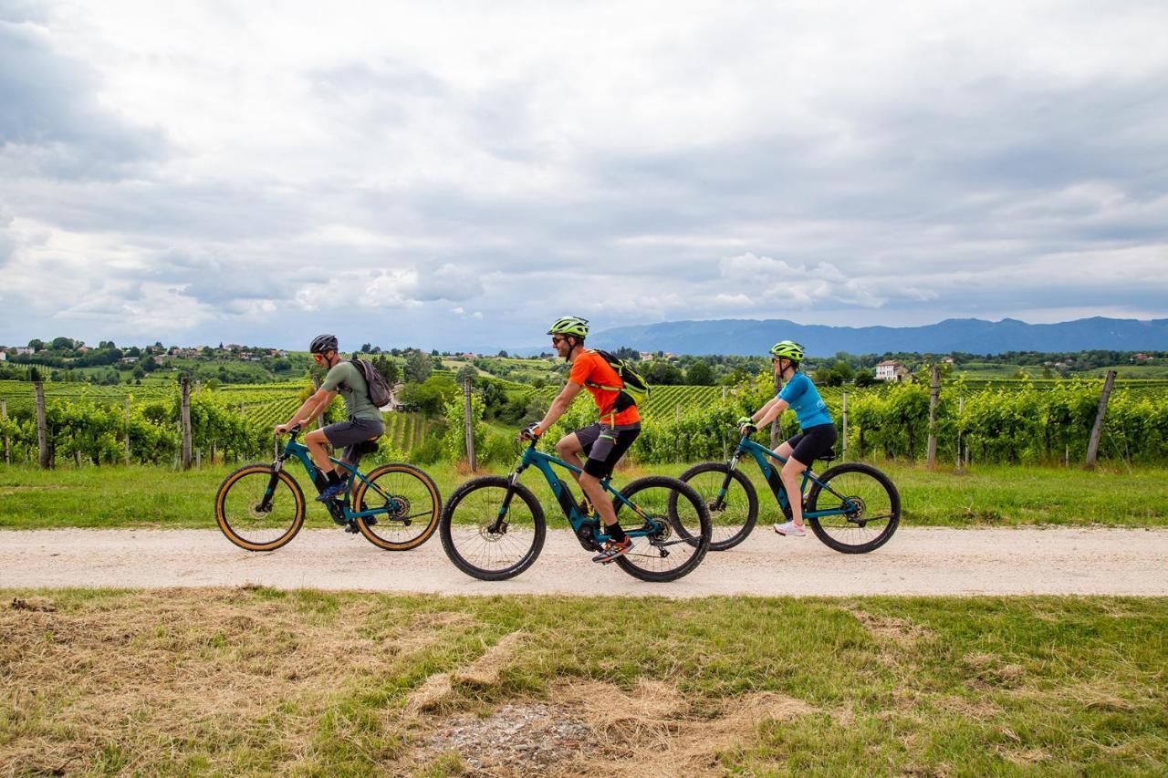 Agriturismo Vidalli Colvidor Ngoại thất bức ảnh