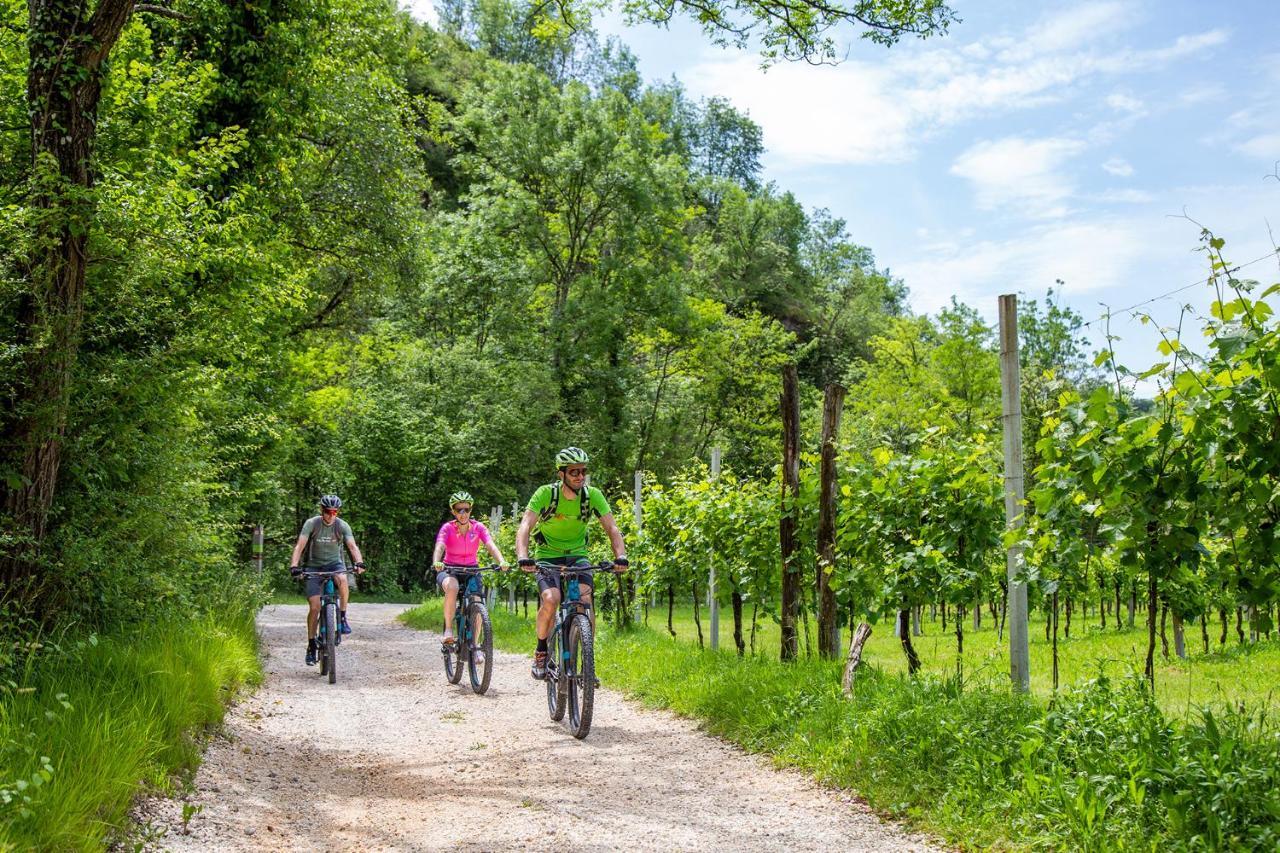 Agriturismo Vidalli Colvidor Ngoại thất bức ảnh